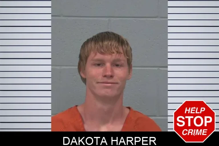 Dakota Harper