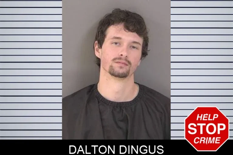 Dalton DinguS