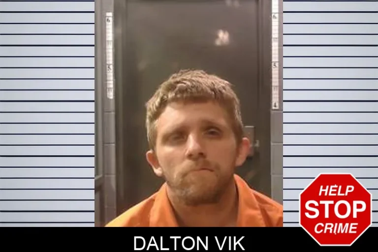 Dalton Vik