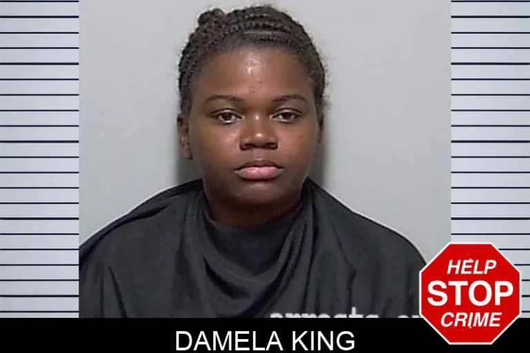 Damela King