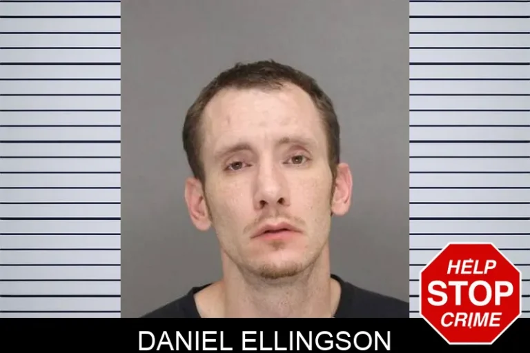 Daniel Ellingson