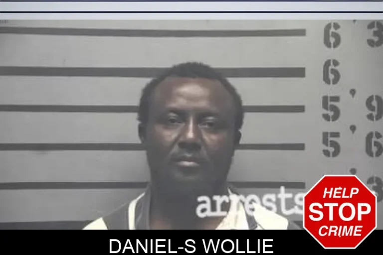 Daniel-S Wollie