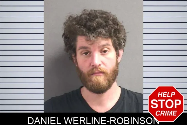 Daniel Werline-Robinson