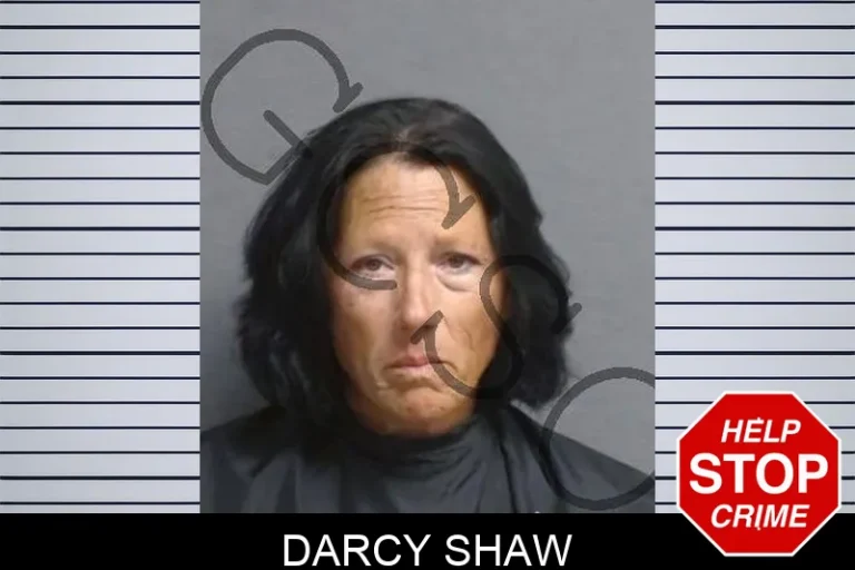 Darcy Shaw