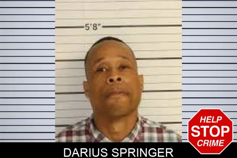 DariuS Springer