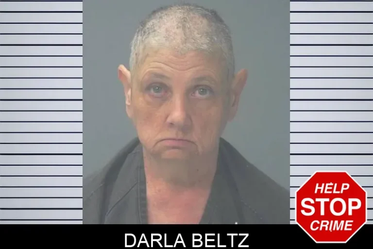 Darla Beltz