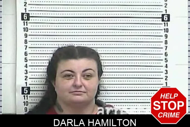 Darla Hamilton