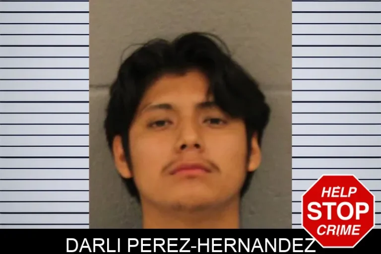 Darli Perez-Hernandez