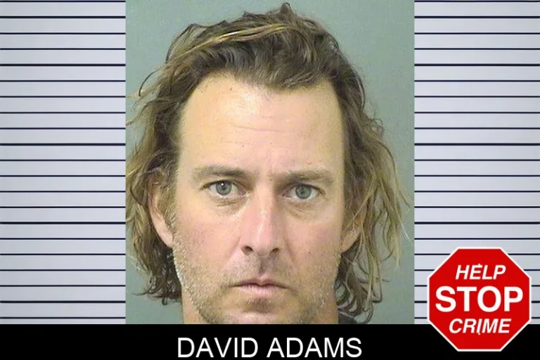 David Adams