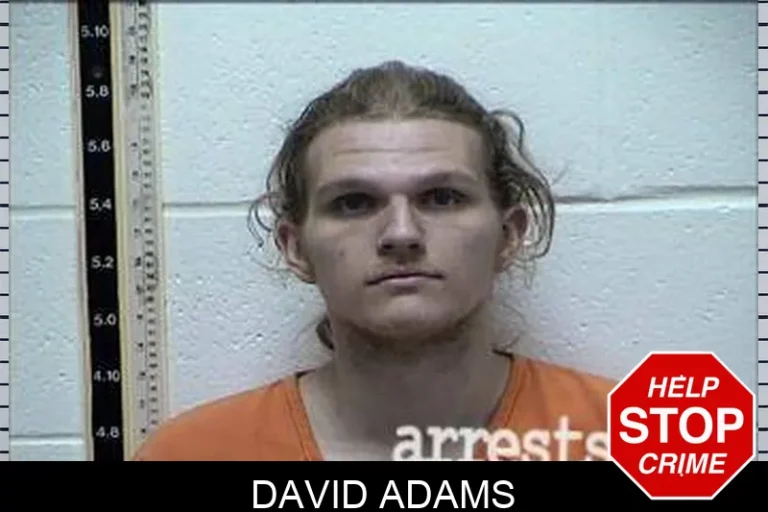 David Adams