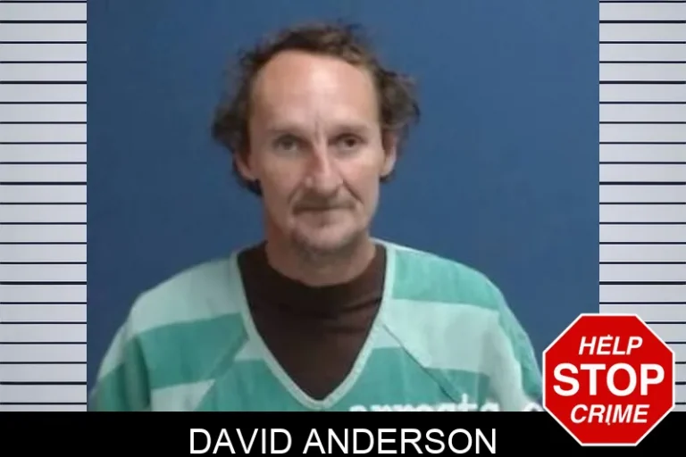 David Anderson