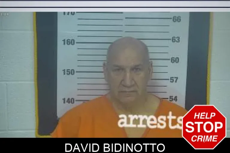 David Bidinotto