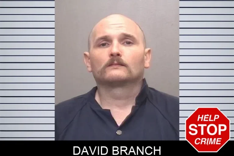 David Branch