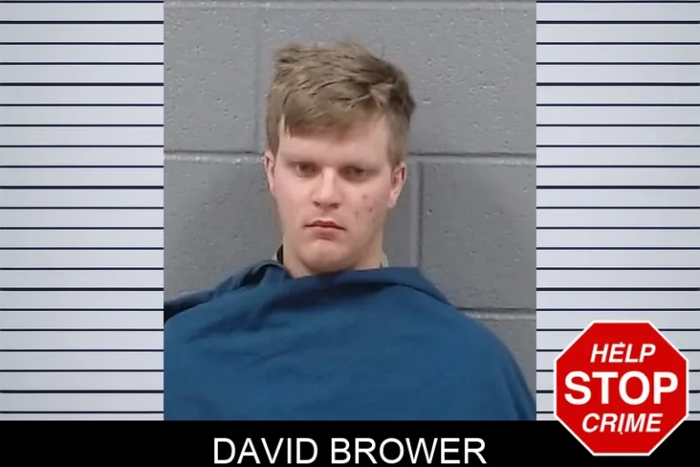 David Brower