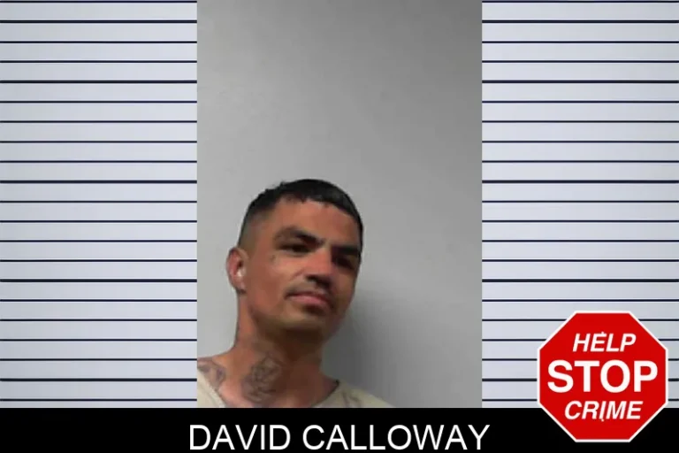 David Calloway