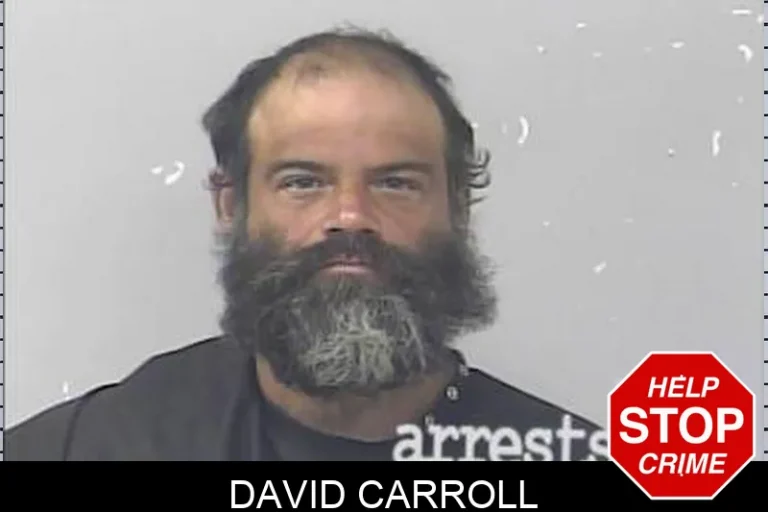 David Carroll