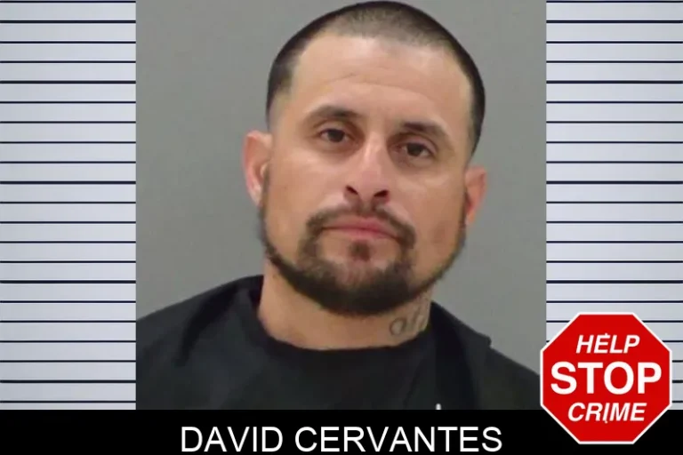 David Cervantes