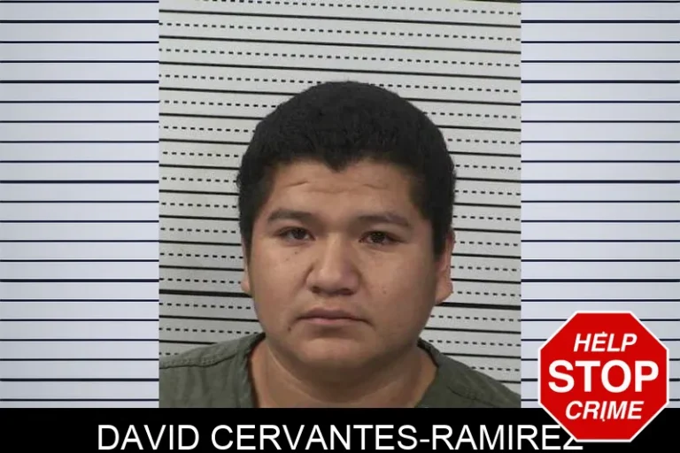 David Cervantes-Ramirez