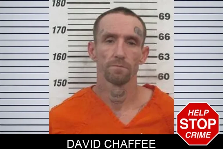 David Chaffee
