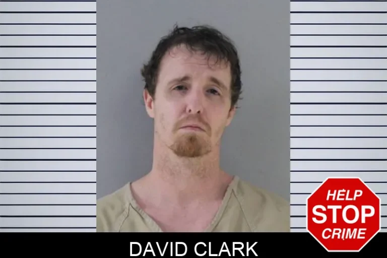 David Clark