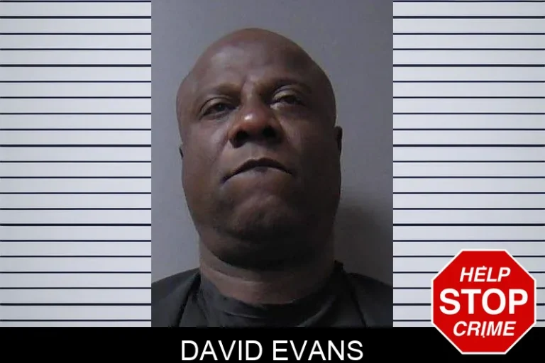 David Evans