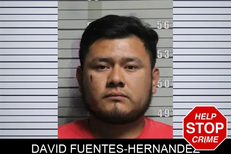 David FuEntes-Hernandez