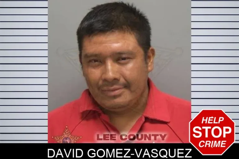 David Gomez-VasquEz