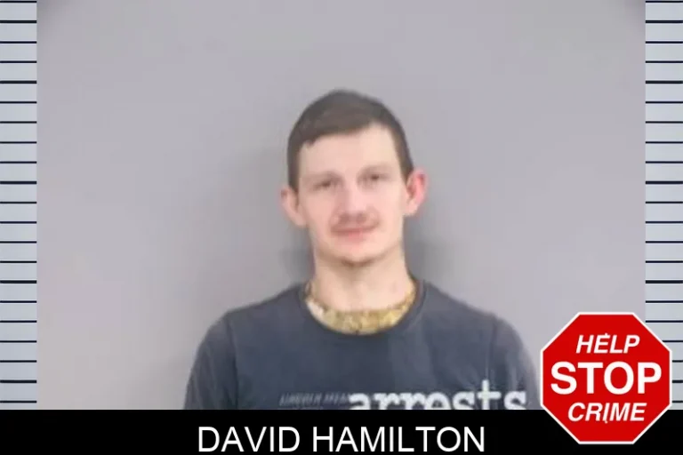 David Hamilton