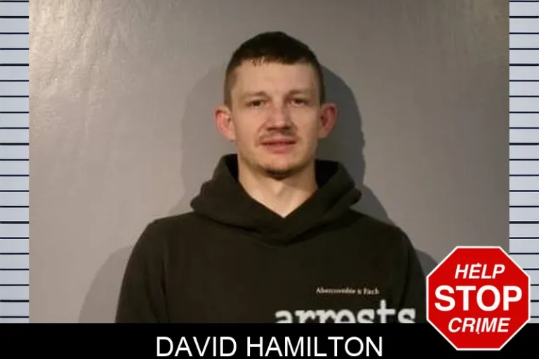 David Hamilton