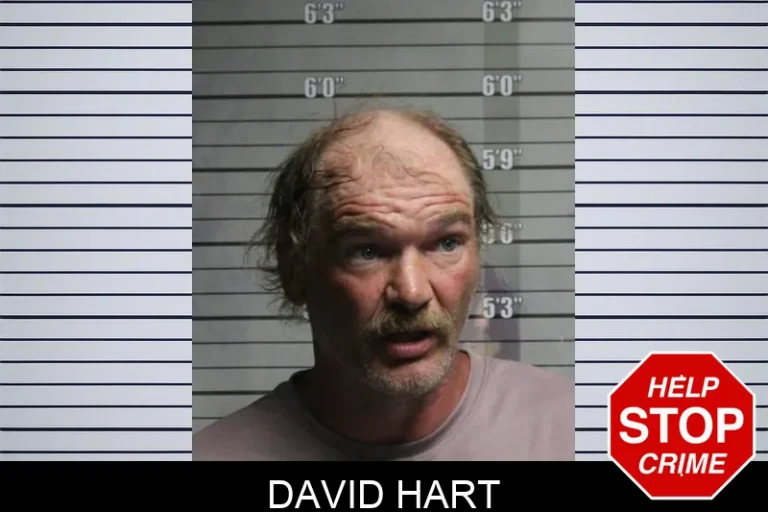 David Hart