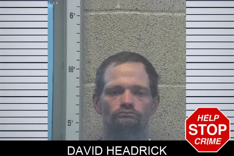 David Headrick