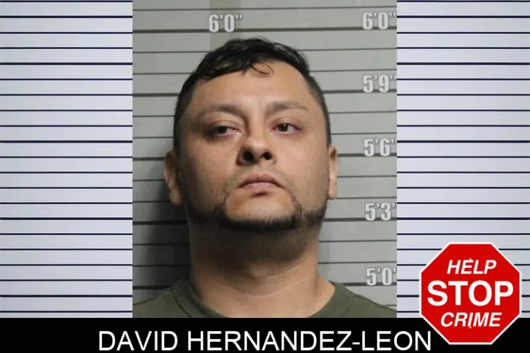 David Hernandez-Leon