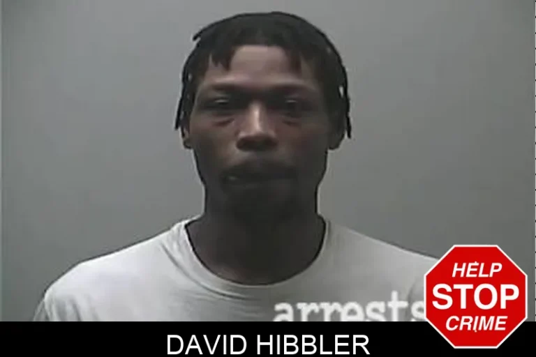 David Hibbler