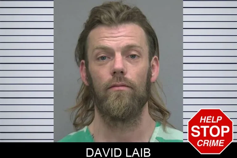David Laib