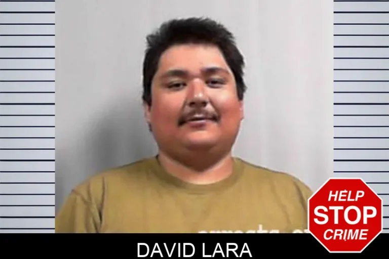 David Lara