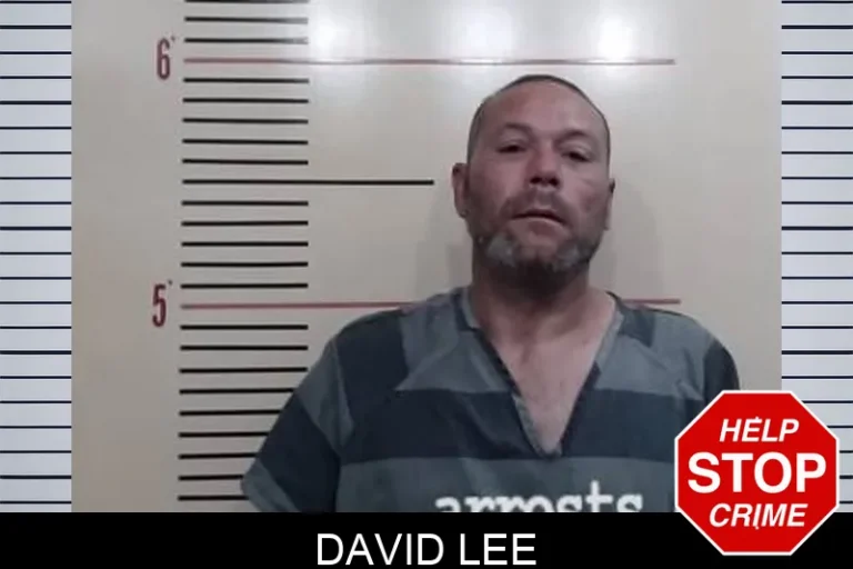 David Lee