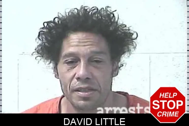 David Little