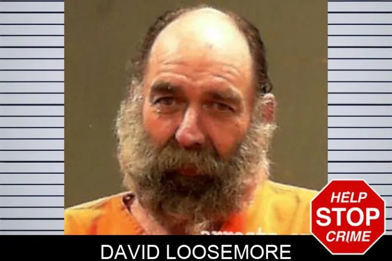 David Loosemore