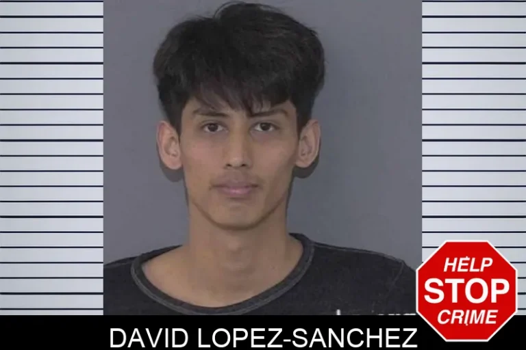 David Lopez-Sanchez