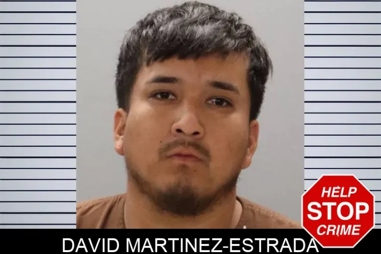 David Martinez-Estrada