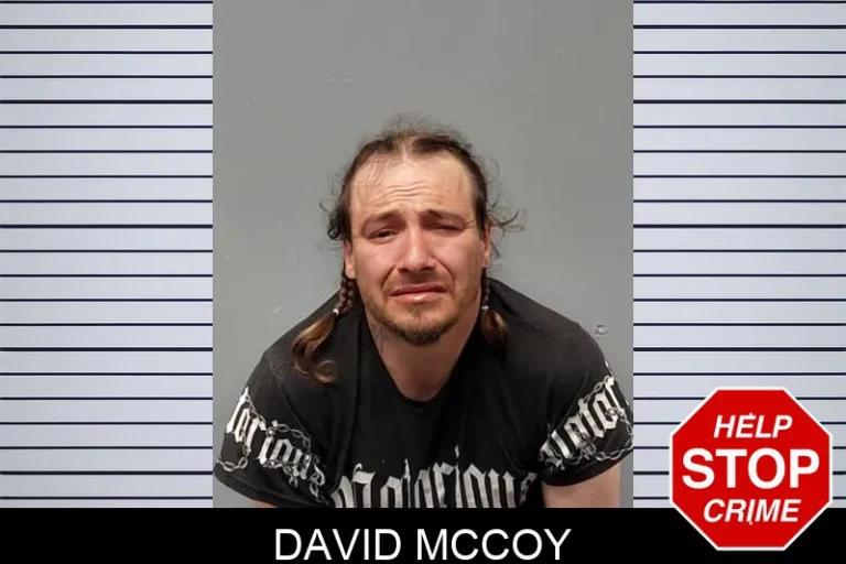 David McCoy