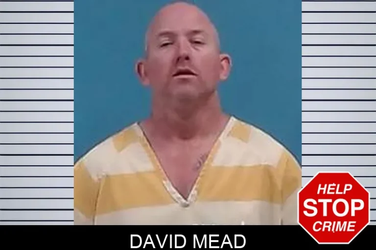 David Mead