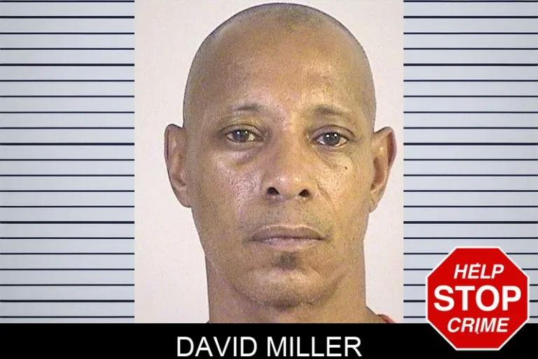 David Miller