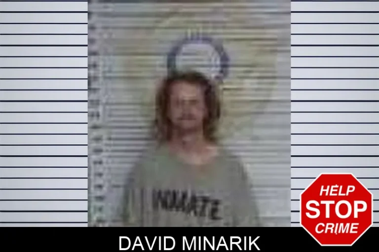 David Minarik
