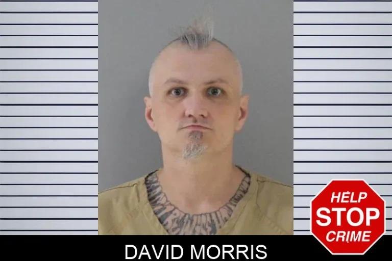 David Morris
