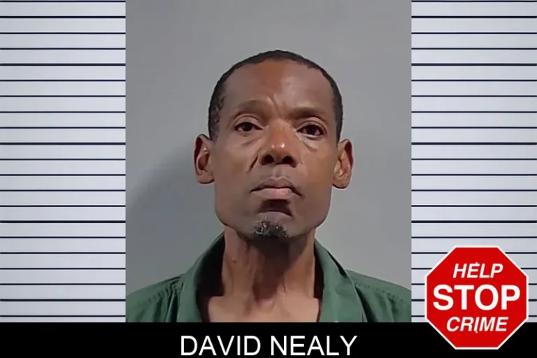 David Nealy