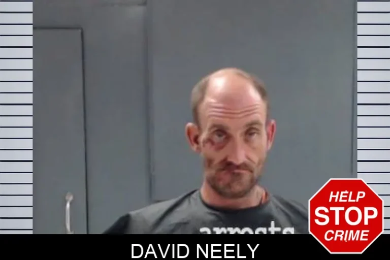 David Neely