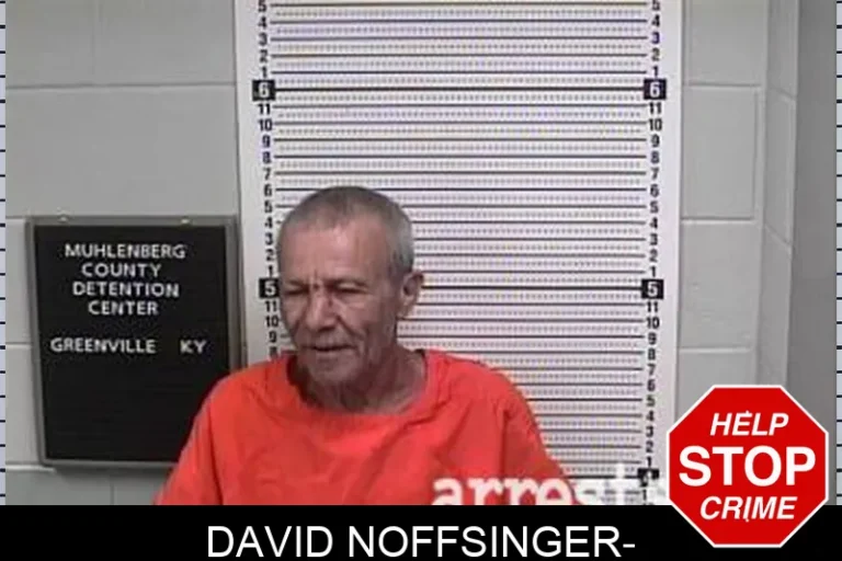 David Noffsinger-