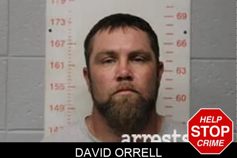 David Orrell