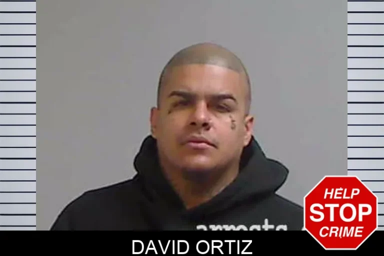 David Ortiz